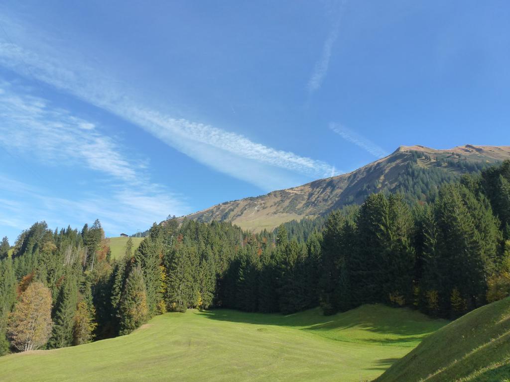 Walser Berg Chalets Riezlern Eksteriør bilde